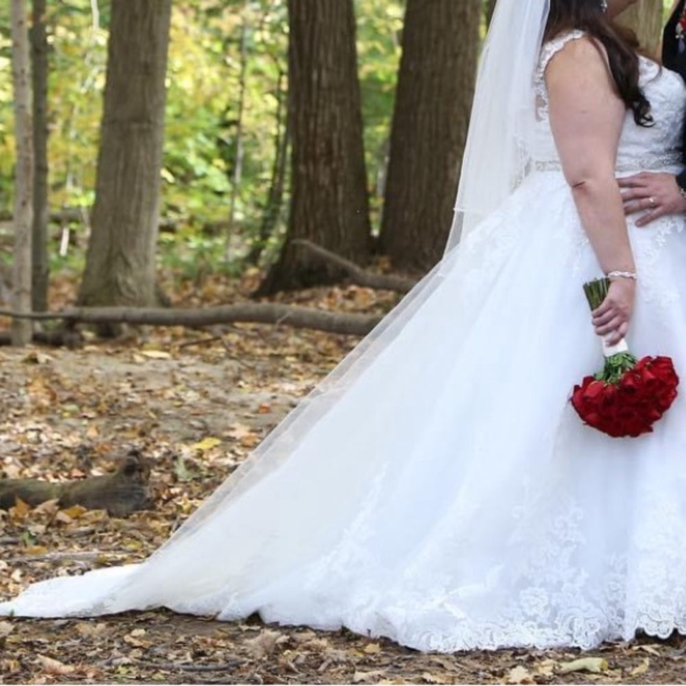 Wedding Dress - size 24, Morilee, plus size, used once, with veil